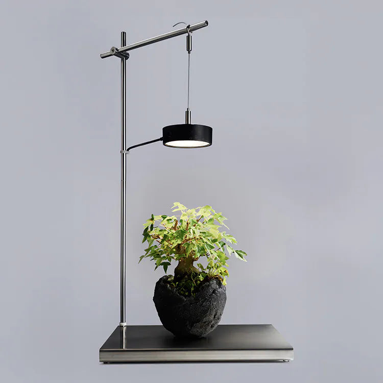 ONF x ANA Light Stand Set