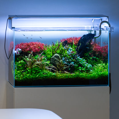 ONF THE FLAT ONE+ YW LED-Aufsatzleuchte