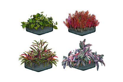 AquaOwner Plant Art Set
