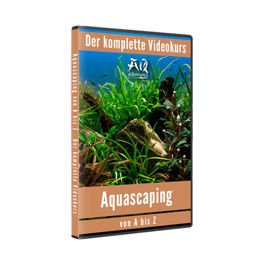Aquascaping von A bis Z Videokurs